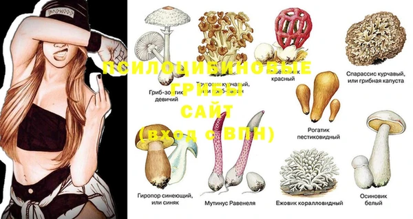 MESCALINE Белоозёрский